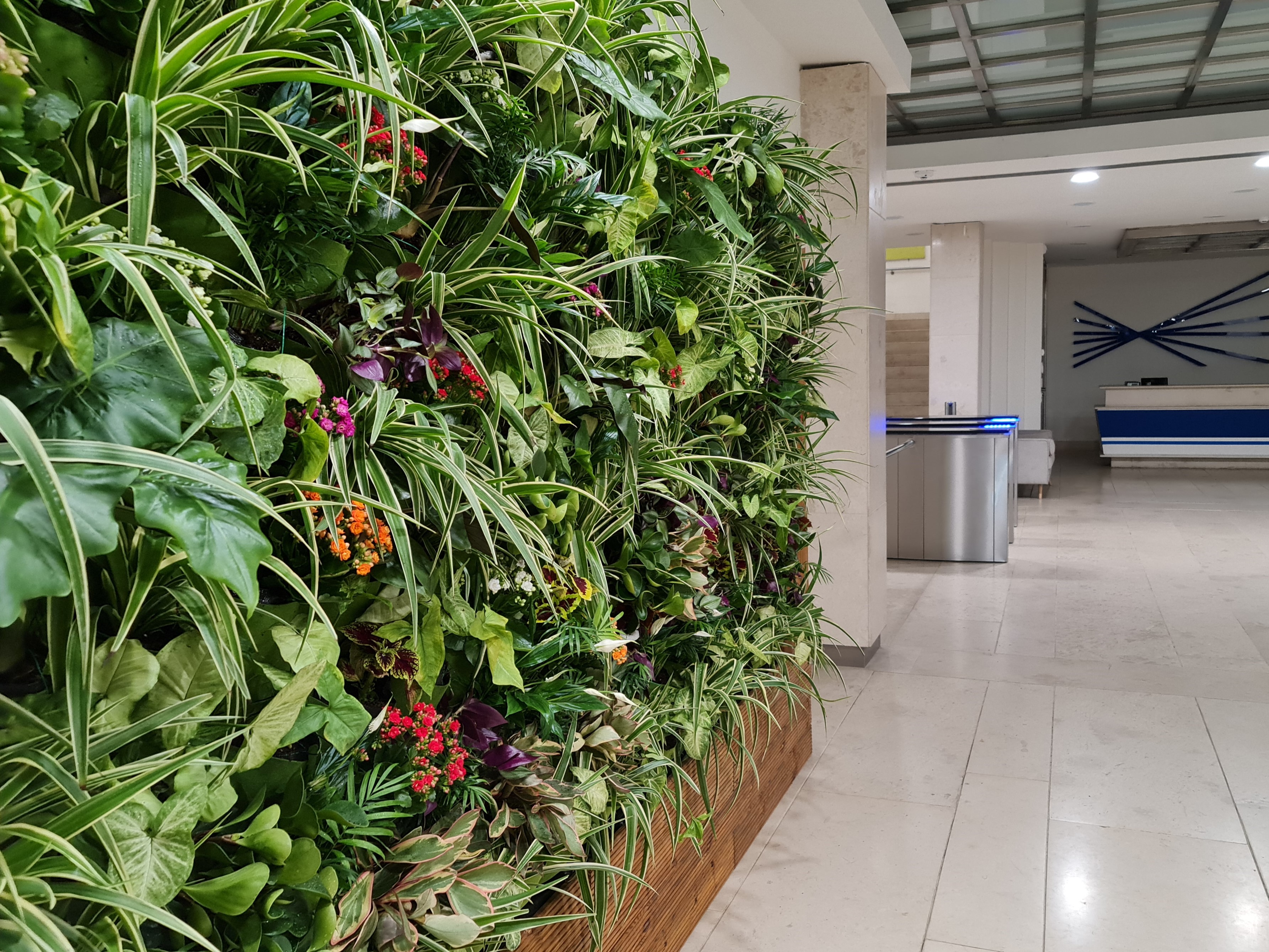 Landscaping 2