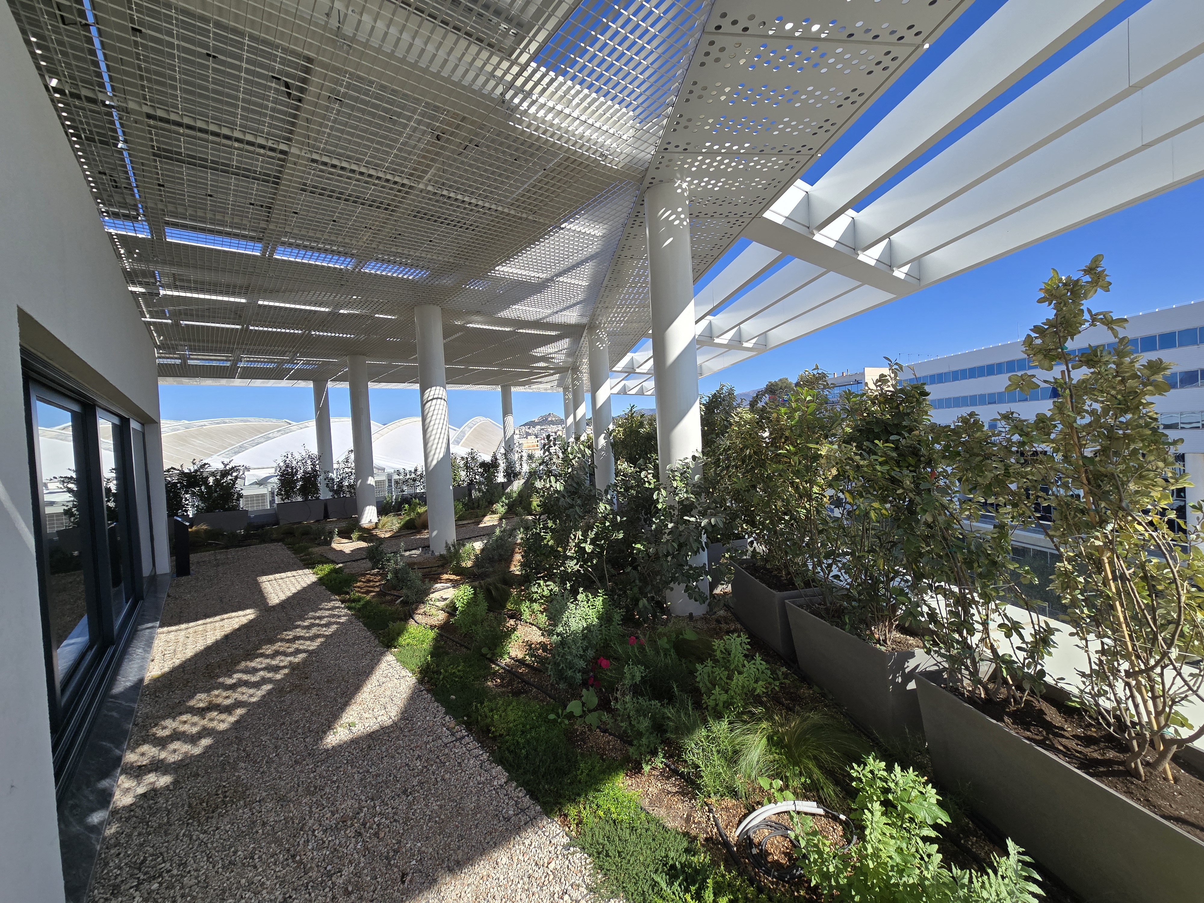 Landscaping 3