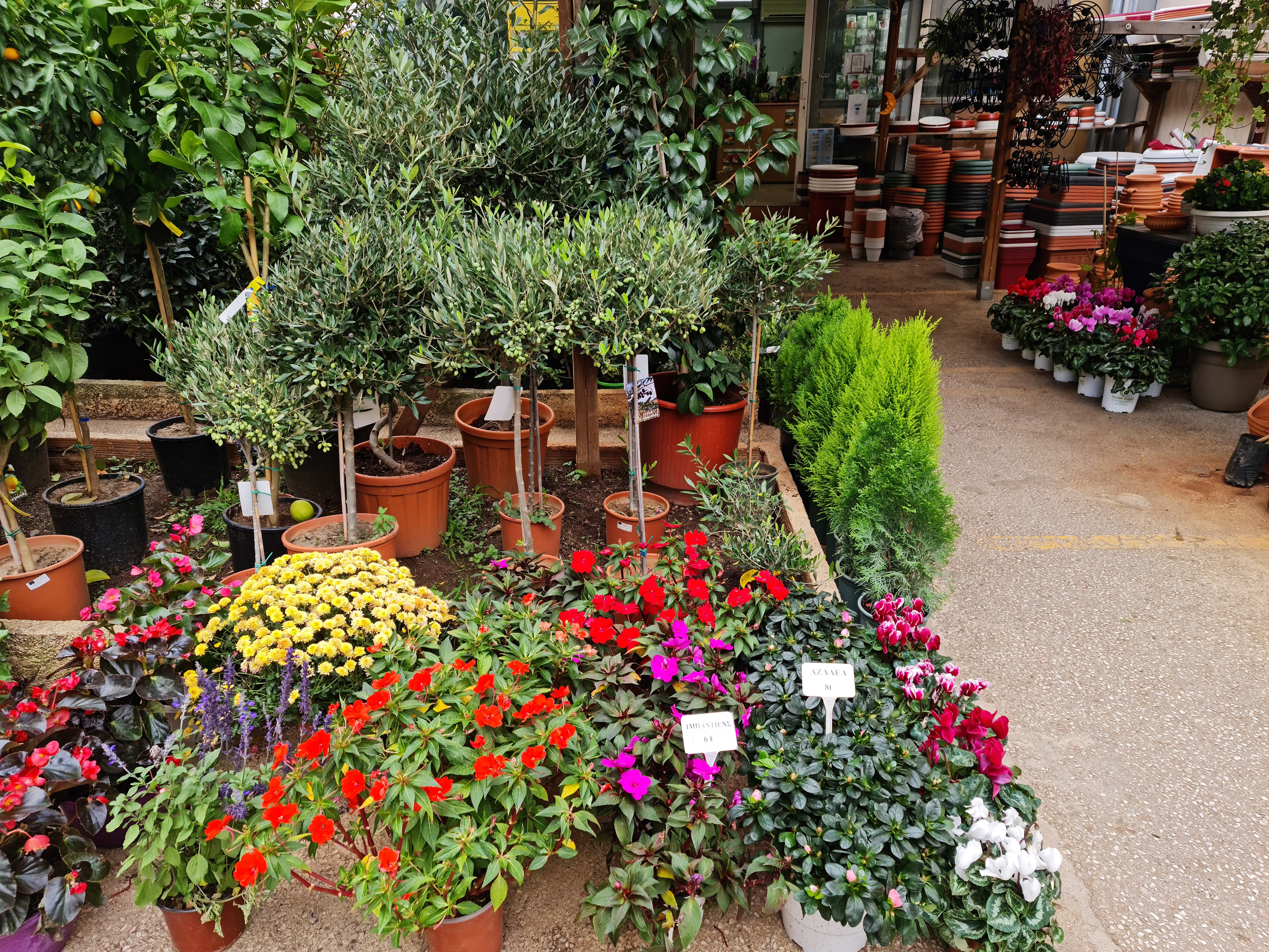Plant Care